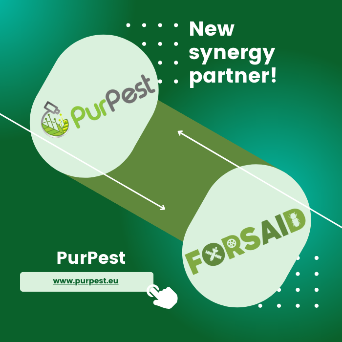 PurPest and FORSAID join forces for early pest detection in Europe