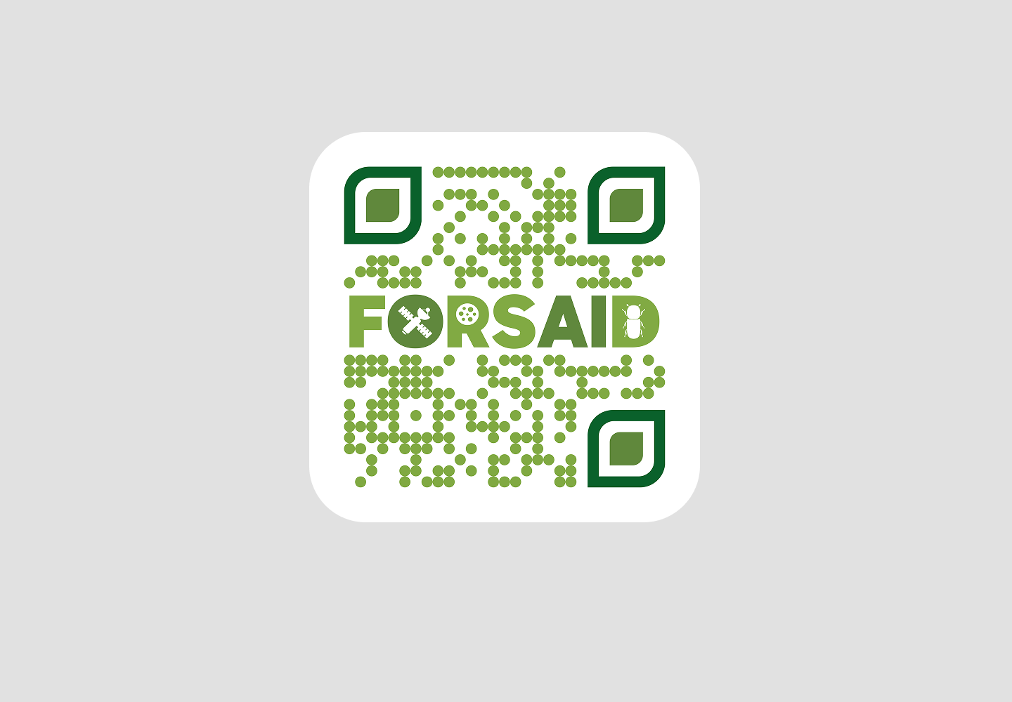 QR Codes preview