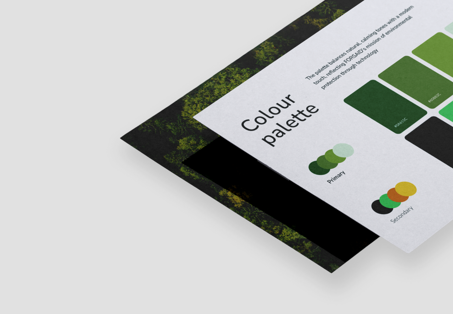 Brand Manual preview