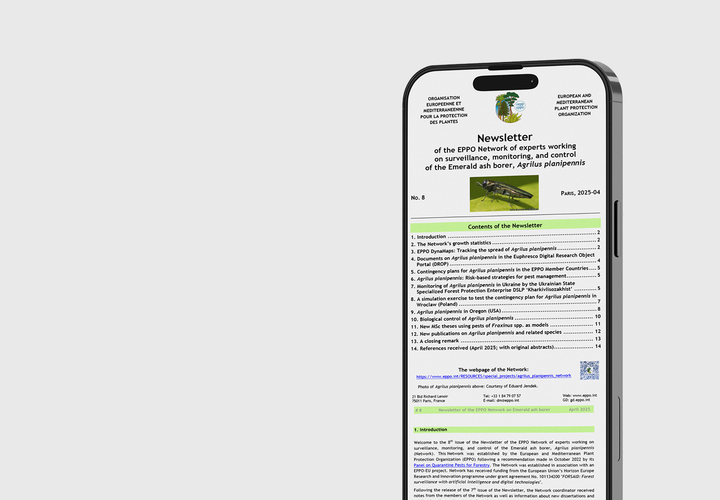 EPPO Emerald Ash Borer Network Newsletter #8 newsletter cover