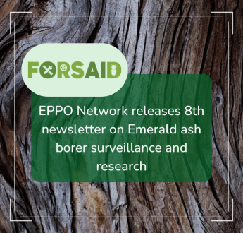 EPPO Network releases 8th newsletter on Emerald ash borer surveillance and research