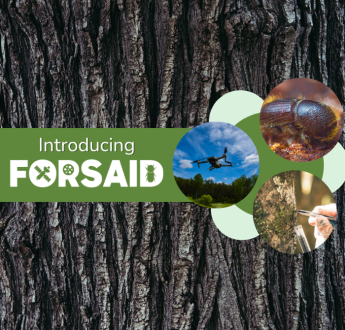 The FORSAID project at a glance in new introductory video