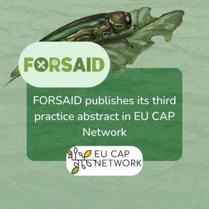 FORSAID showcases AI-powered remote sensing in third practice abstract on EU CAP Network