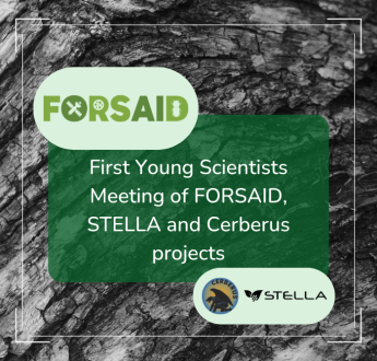 First Young Scientist Meeting of sister projects FORSAID, STELLA and Cerberus
