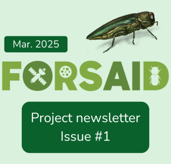 The FORSAID project launches its newsletter