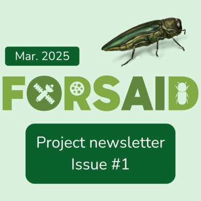 The FORSAID project launches its newsletter