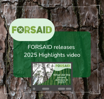 FORSAID releases 2025 highlights video showcasing a year of achievements