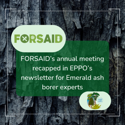 Recap of FORSAID’s annual consortium meeting in EPPO’s newsletter for Emerald ash borer experts