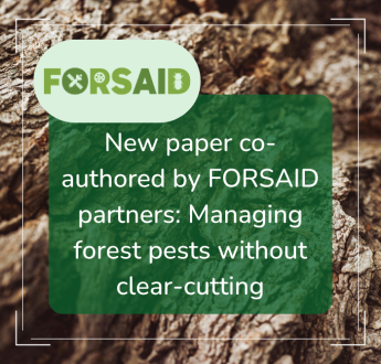 New paper co-authored by FORSAID partners examines the management of forest pests without clear-cutting