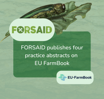FORSAID practice abstracts published on EU FarmBook to advance forest pest management
