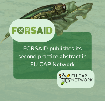 FORSAID highlights stakeholder engagement in second practice abstract on EU CAP Network