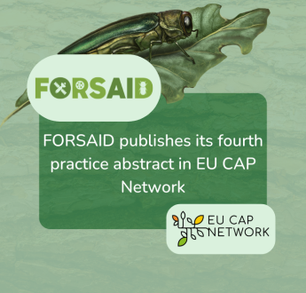 FORSAID promotes drone-based pest detection in fourth practice abstract on EU CAP Network