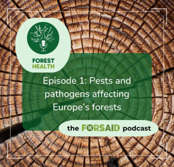 FORSAID launches its official podcast - ForestHealth