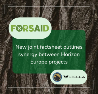 Safeguarding European plant health: New joint factsheet outlines synergy between Horizon Europe projects FORSAID, CERBERUS and STELLA