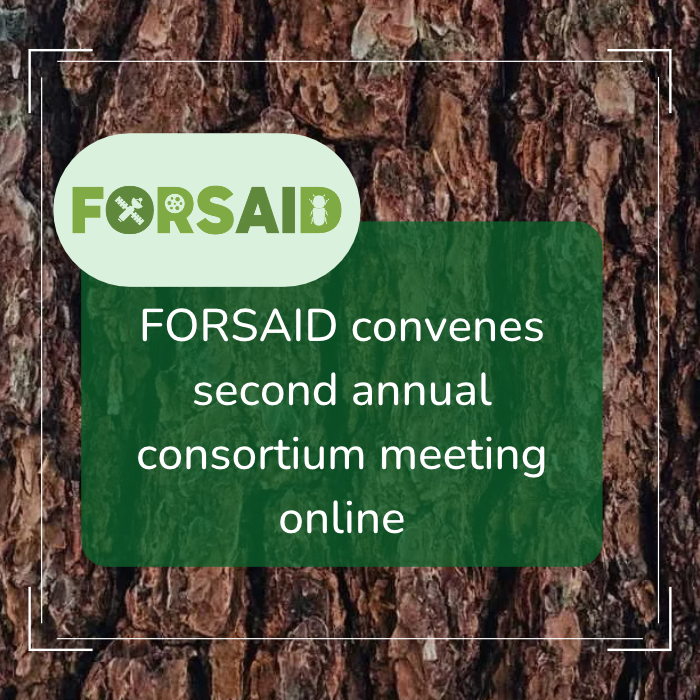 Second FORSAID annual consortium meeting reviews progress and looks ahead to the project's second half