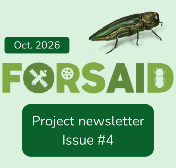 FORSAID's fourth newsletter features the project's first demonstration workshop